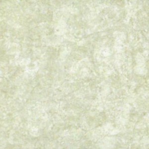 Gạch ốp tường Trường Thịnh NEW SWAN CASTLE G51002